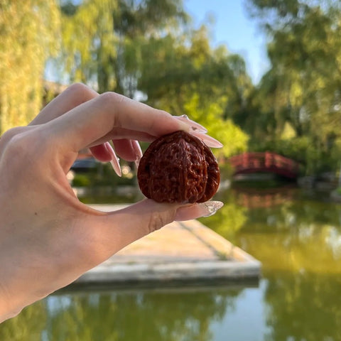 Wenwan Walnut Polishing Guide: How to Get the Perfect Red Patina