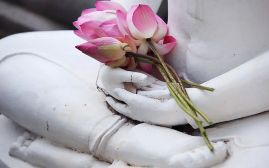 Lotus Flower Meaning in Buddhism: A Symbol of Enlightenment