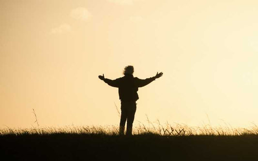 50 Daily Gratitude Quotes to Attract Positivity