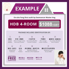 マスターによる風水診断