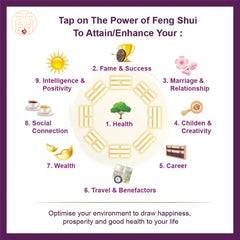 マスターによる風水診断