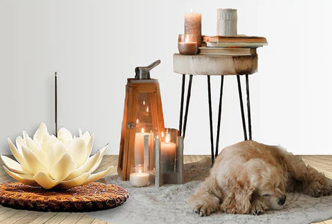 Is Incense Bad for Dogs?